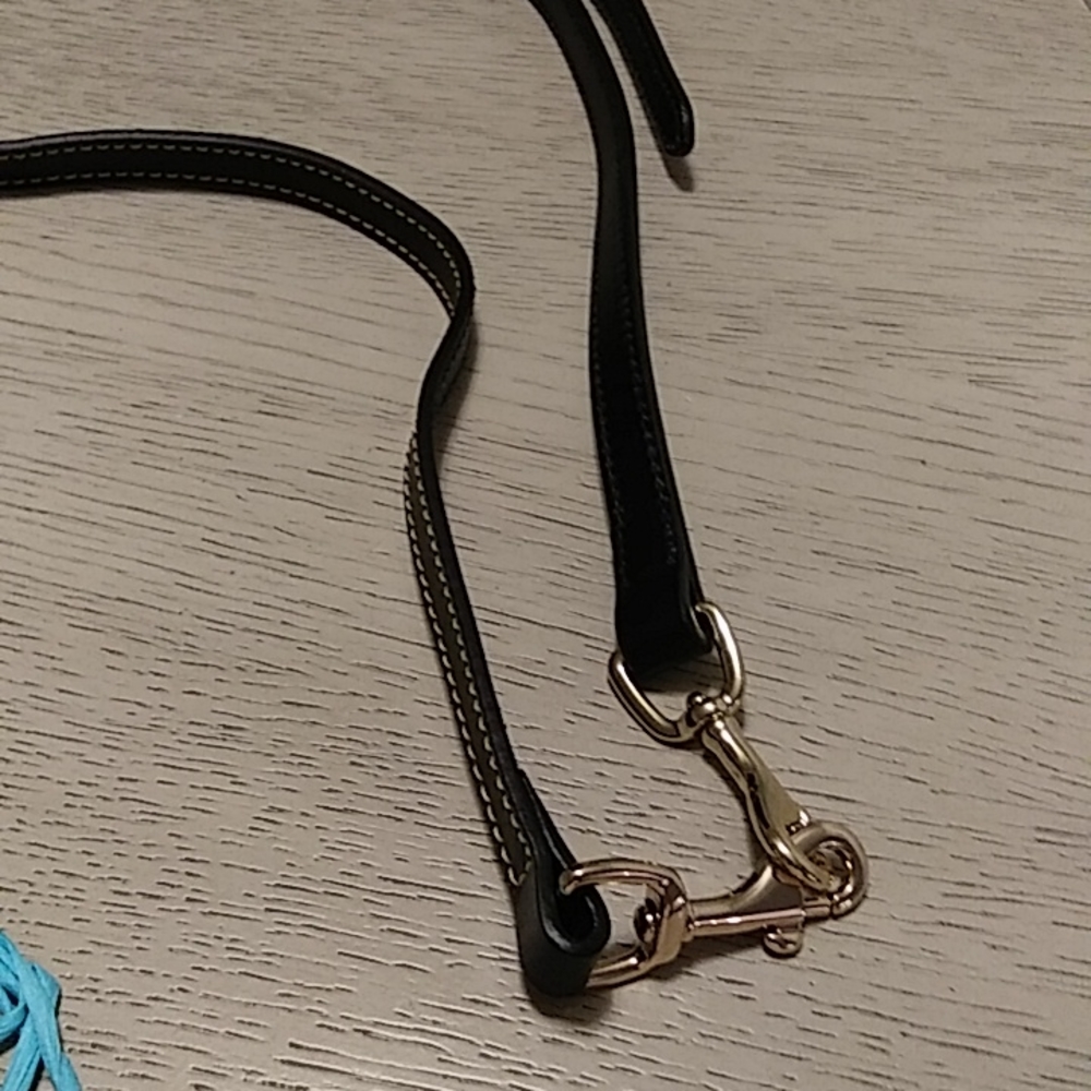 Purse strap.